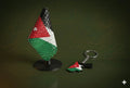 Jordan Flag Bundle